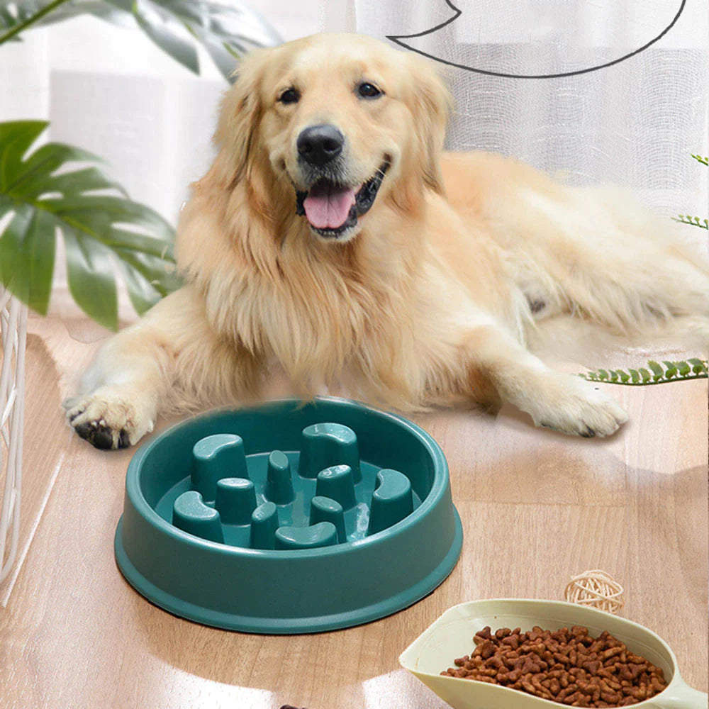 Pet Slow Food Bowl | Choke-Proof, Non-Slip Feeder 🍖 | Healthy Eating for Dogs & Cats 🐾