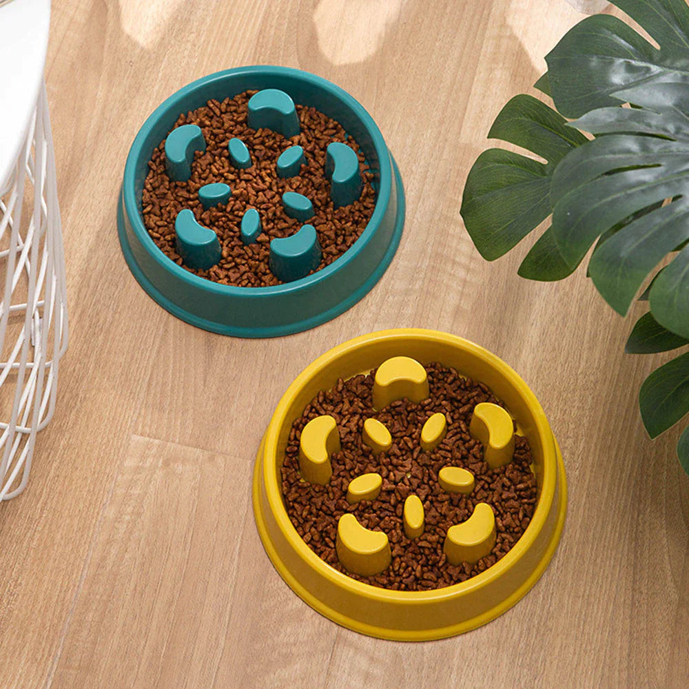 Pet Slow Food Bowl | Choke-Proof, Non-Slip Feeder 🍖 | Healthy Eating for Dogs & Cats 🐾