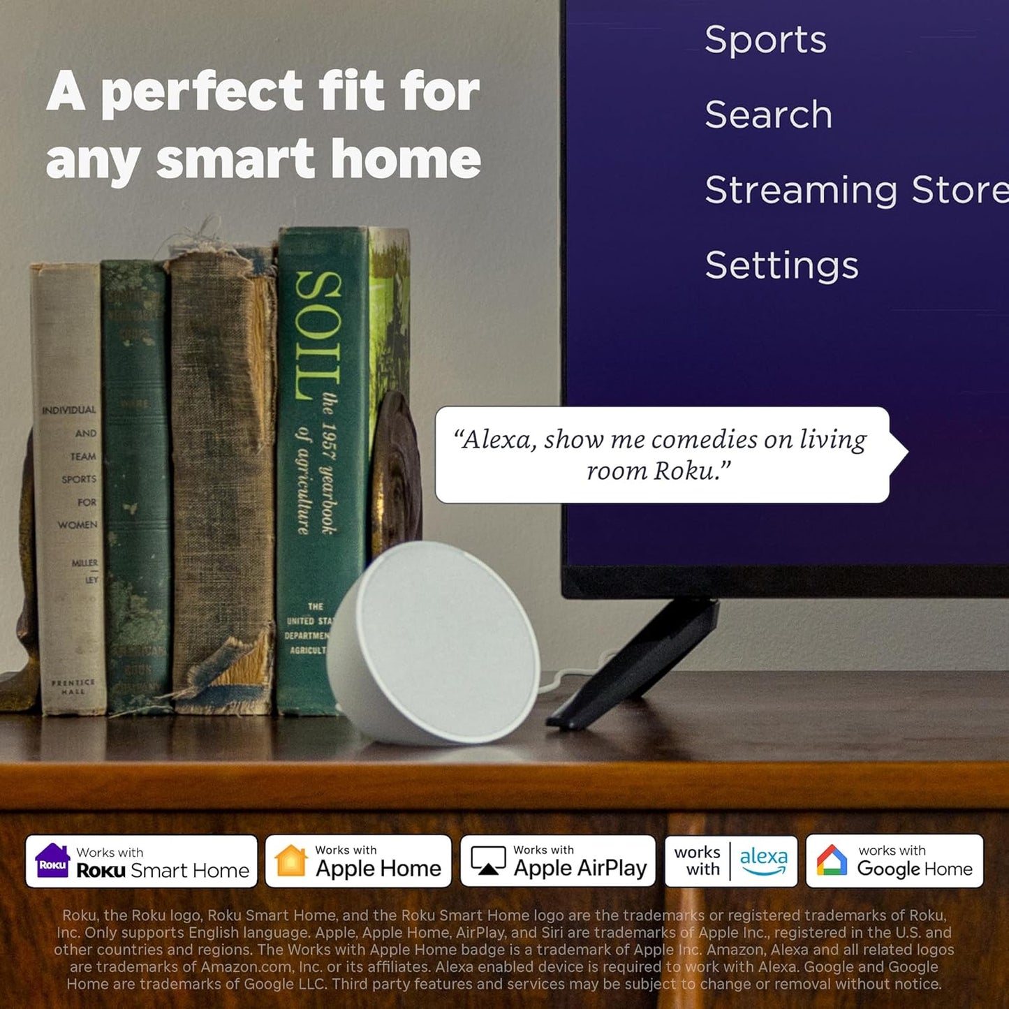 Roku Streaming Stick HD 2025 | Big Entertainment, Tiny Stick 🎬🍿 | Voice Remote 🎤 + Free TV 📡