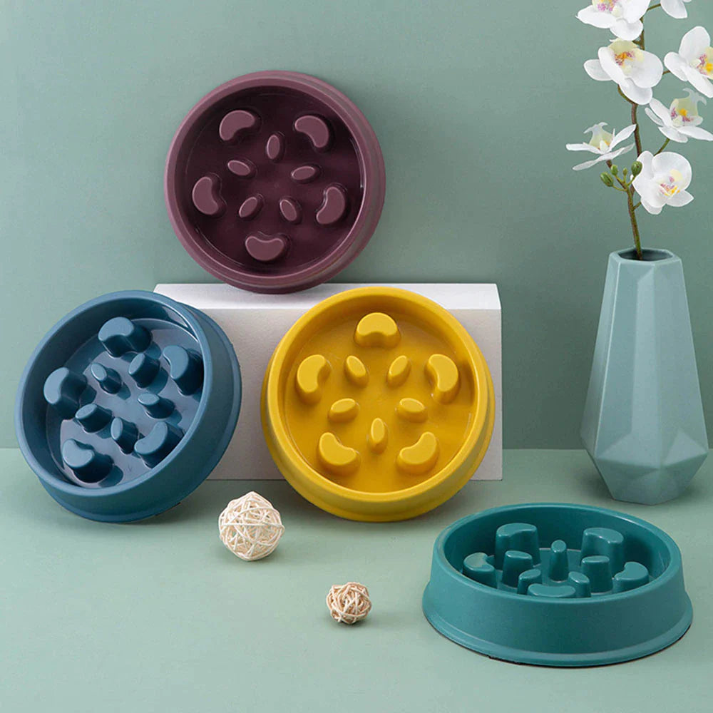 Pet Slow Food Bowl | Choke-Proof, Non-Slip Feeder 🍖 | Healthy Eating for Dogs & Cats 🐾