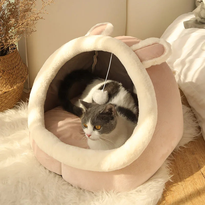 Deep Sleep Cat Bed | Cozy Cartoon Cave Bed 🛏️ | Foldable, Removable & Washable Pet Bed for Cats & Small Dogs 🐾✨