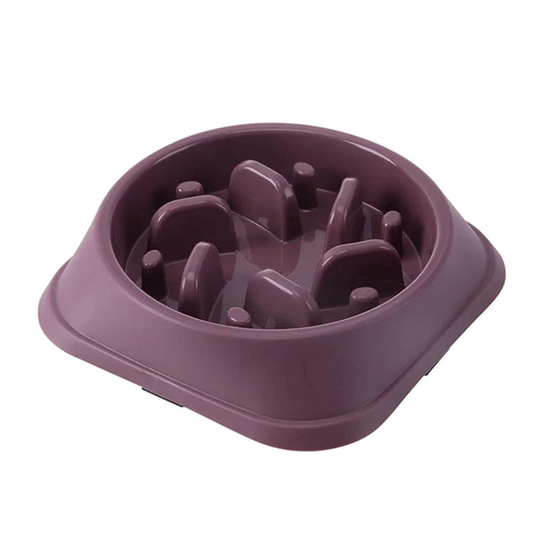 Pet Slow Food Bowl | Choke-Proof, Non-Slip Feeder 🍖 | Healthy Eating for Dogs & Cats 🐾